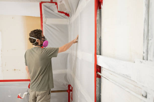 Best Black Mold Removal  in Jackson, CA