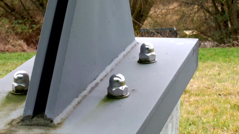 Best Post-Construction Mold Inspection  in Jackson, CA
